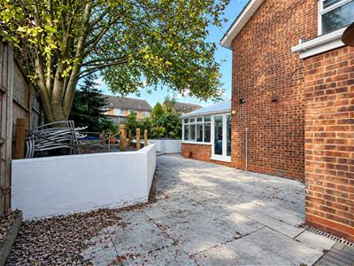 Picture 20